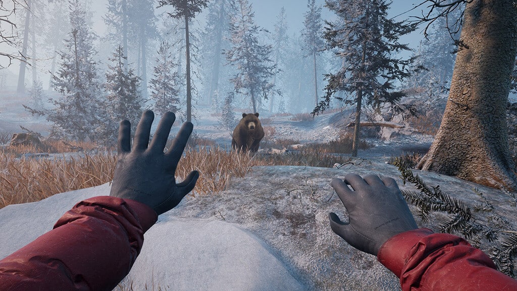 Winter Survival gratis